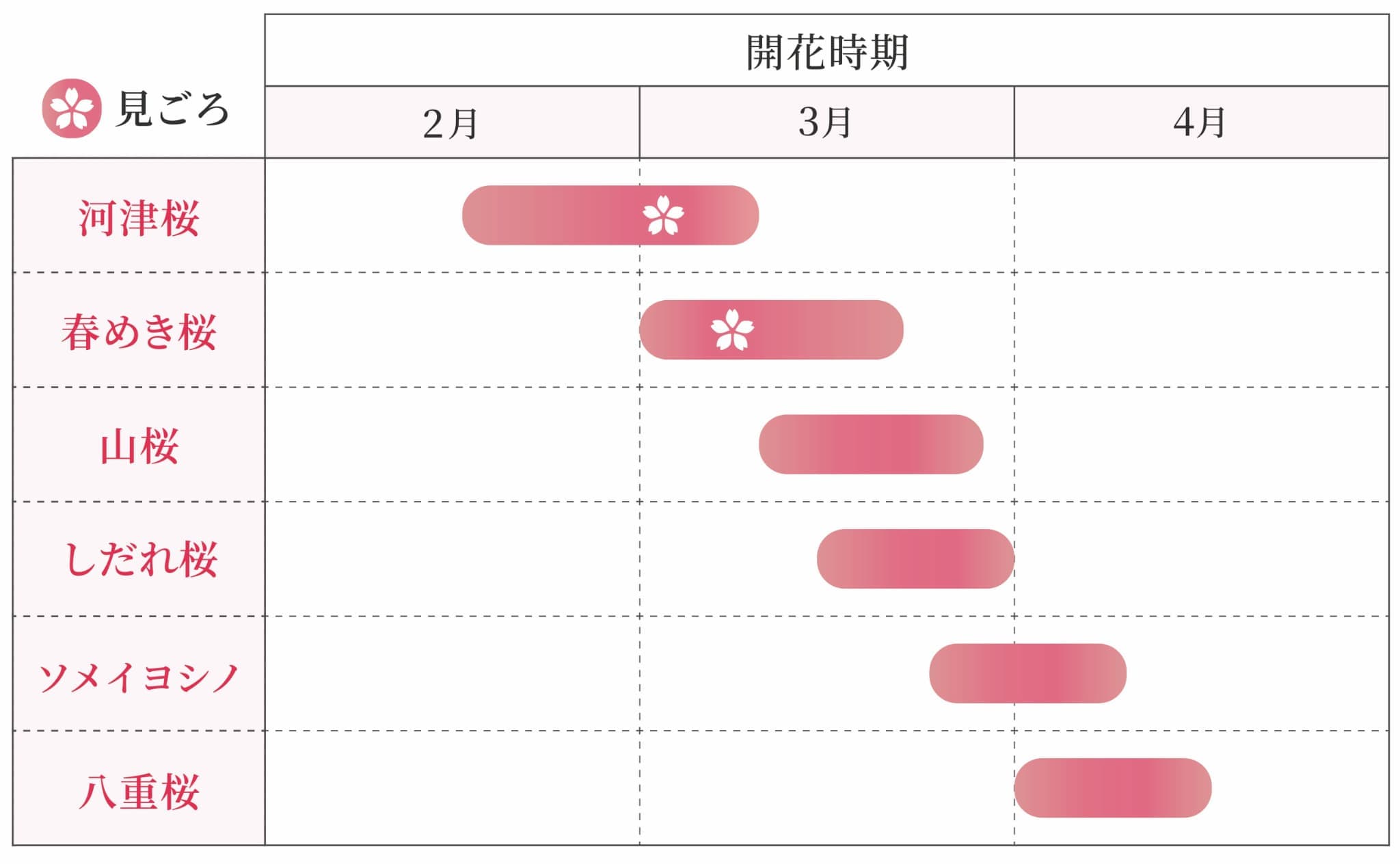 河津桜、春めき桜、山桜、しだれ桜、ソメイヨシノ、八重桜の６種類があり、ホテル敷地内やゴルフコース内で見ることができます。河津桜は2月中旬または下旬から、3月上旬まで。春めき桜は3月上旬から下旬まで。山桜は3月中旬から3月下旬まで。しだれ桜は3月中旬から下旬まで。ソメイヨシノは3月下旬から4月上旬まで。八重桜は4月上旬から4月中旬まで見ることができます。